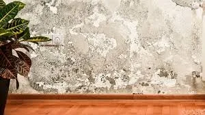 Parede com sinais de umidade e infiltração